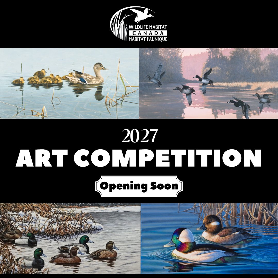 Mark your calendars! The 2027 WHC Art Competition launches July 11. Details coming soon — including entry info and the featured species!
#WHCArtCompetition #WildlifeHabitatCanada #ArtForNature