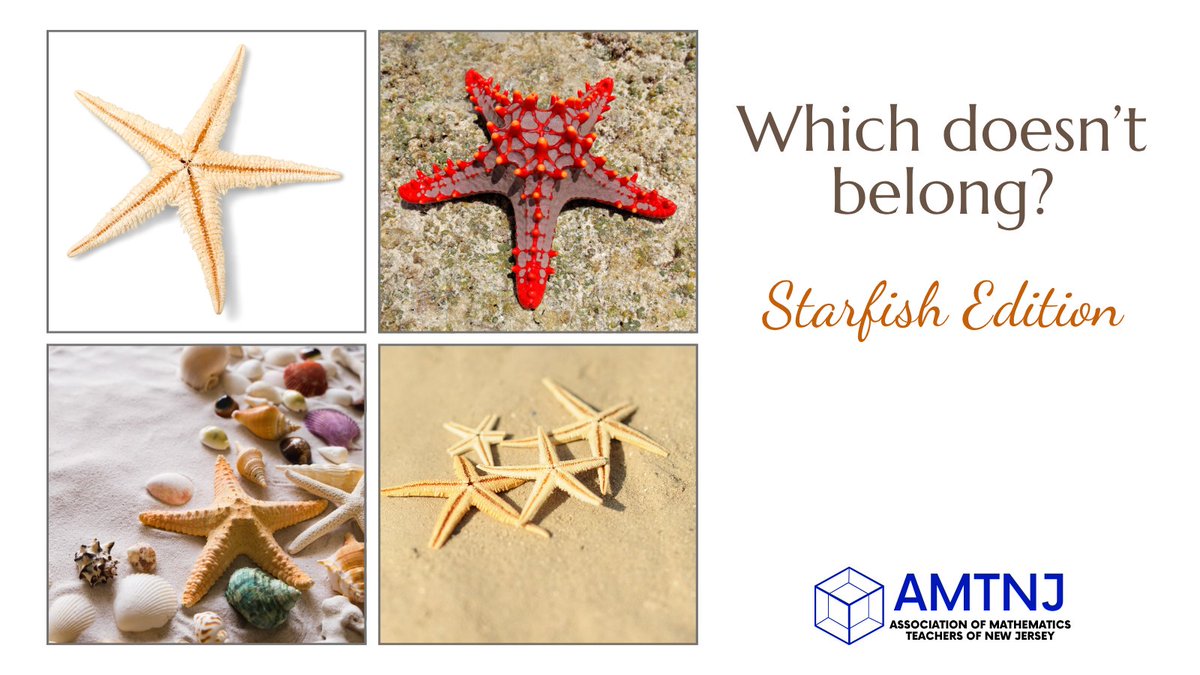 amtnj's tweet image. It's "Which Doesn't Belong" Wednesday! Notice the pictures. Which is unique? #math #mathroutine #njteacher #njteachers #wodb #mathteacher #mathteachers #July #starfish #coutingfive