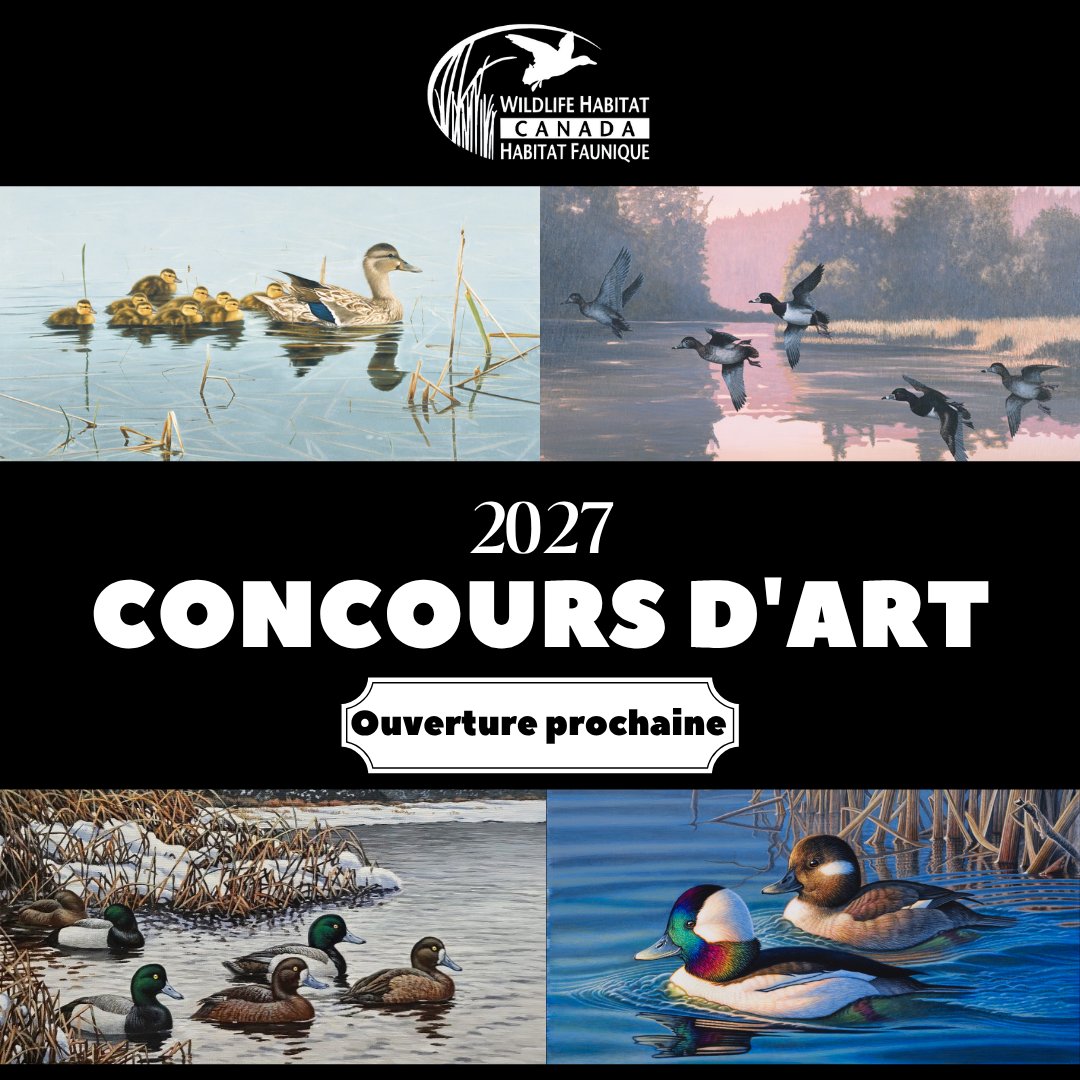 À noter ! Le concours d’art 2027 de HFC débute le 11 juillet. Détails à venir : inscription, soumission et espèce vedette !
#ConcoursArtHFC #HabitatFauniqueCanada #ArtPourLaNature