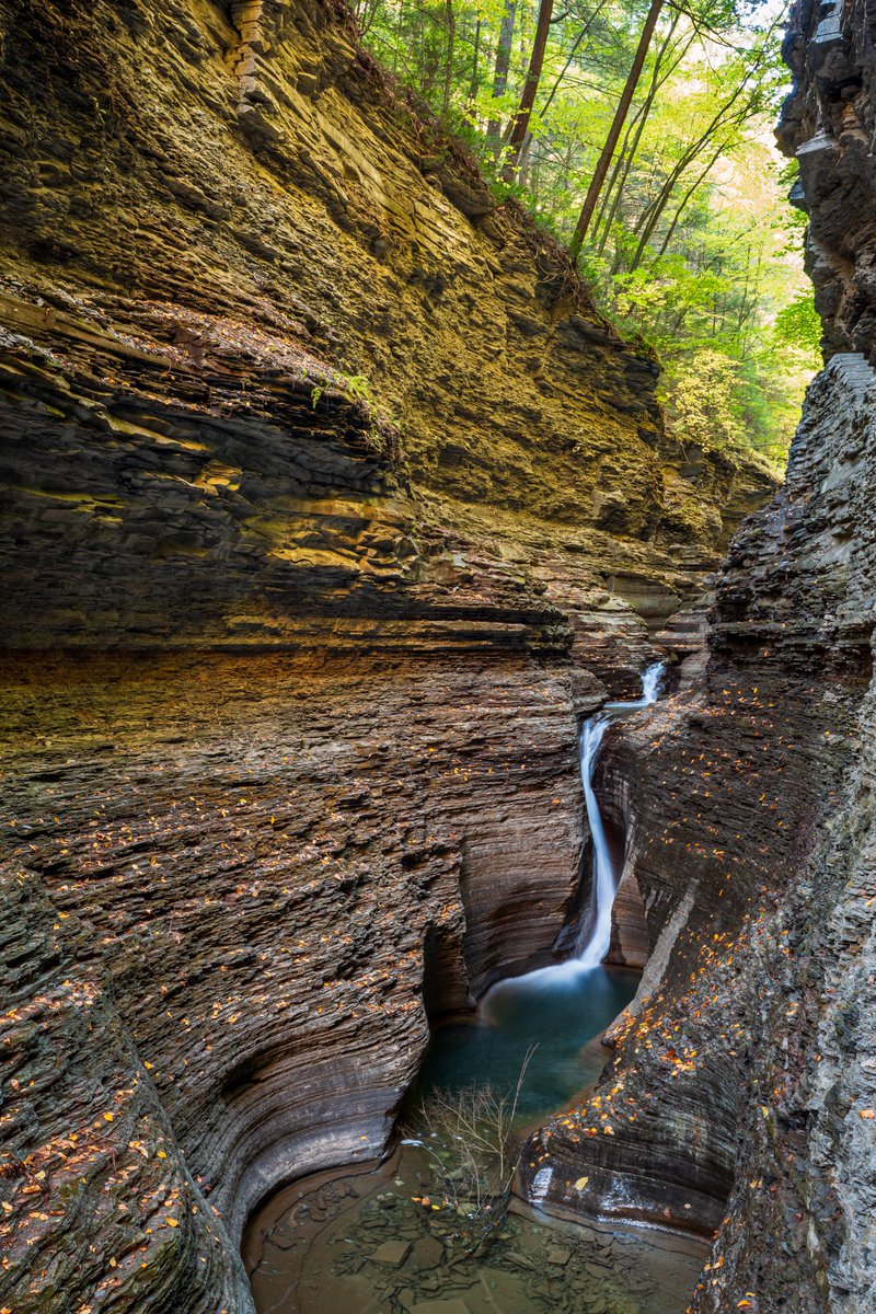 John Getchel (@johngetchel) on Twitter photo Gentile Glen
The lovely Watkins Glen in upstate New York for Waterfall Wednesday. Gentile Glen
The lovely Watkins Glen in upstate New York for Waterfall Wednesday.