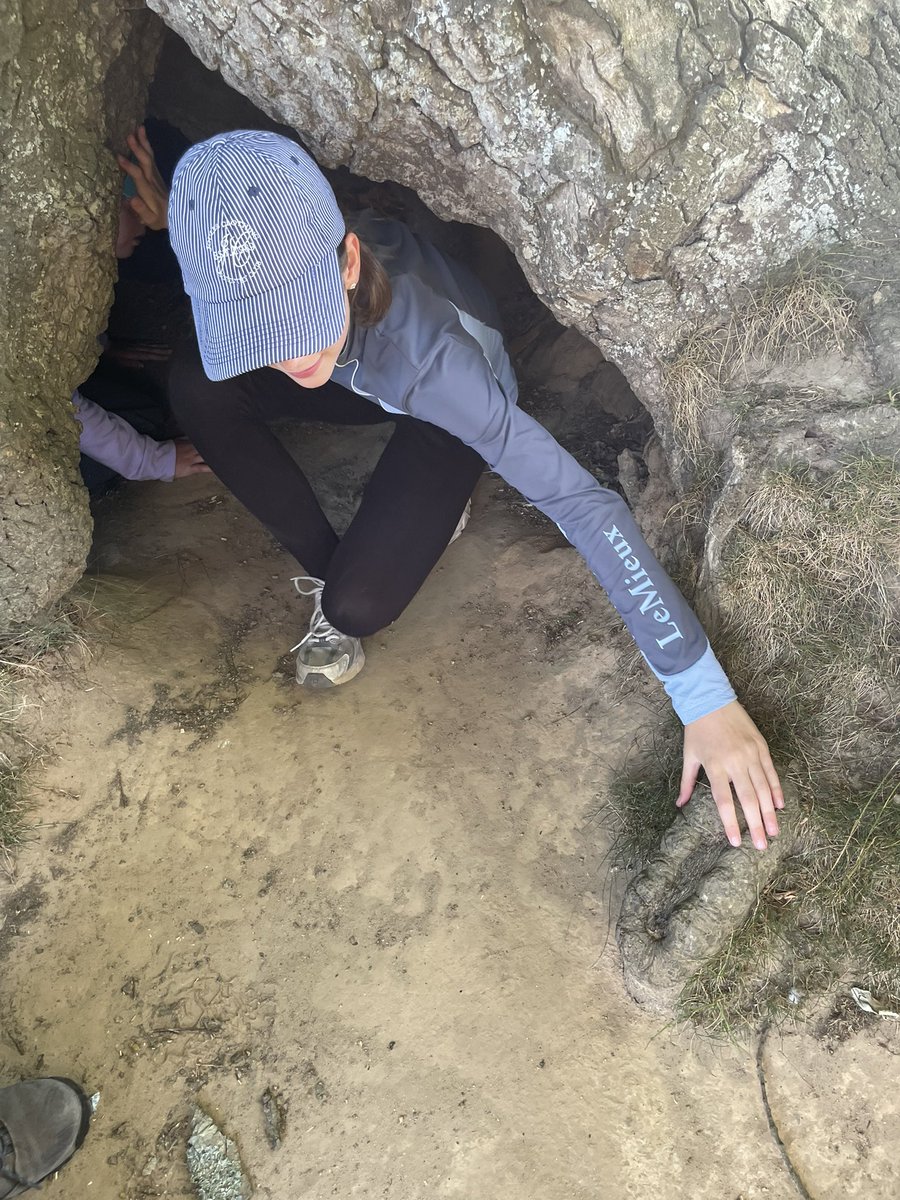 Finding out the secrets of the old oak tree <a href="/StJosSudbury/">St Joseph's, Sudbury</a>