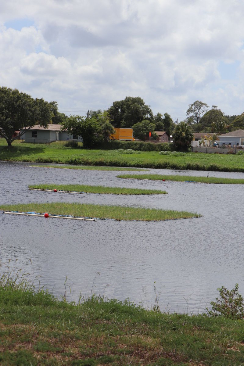 BeematsWetlands's tweet image. 🌿 Happy #WetlandWednesday from #Beemats in #CocoaFL!
These floating #wetlands filter runoff & remove nutrients from this #stormwater pond—helping protect the #IndianRiverLagoon miles downstream.
Eco-friendly, sustainable #waterquality solutions! 💧🌱
#lagoonloyal