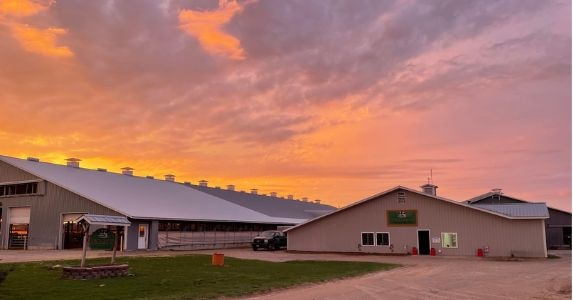 NYAnimalAg's tweet photo. Thereβs nothing like a summer sunset on the farm! ππ©πΌβπΎ
Whatβs your favorite summer scene? Drop a photo in the comments or send us a DM!
#FarmLife #CaringForTheLand #NYAnimalAg #sunset #sunrise #sunsetphoto #farmscape #countryliving #farmscene https://t.co/C1y9rFXwXt
