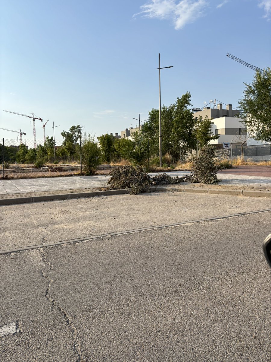 alexito_1986's tweet photo. Grande @mbautista_pp !!! Con lo que pagamos de IBI, los vecinos del @Pau4Mostoles seguimos siendo vecinos de segunda … gran gestión de recogida de árboles caídos hace una semana …@AytoMostoles @PSOEMostoles https://t.co/k7GVVVkEkX