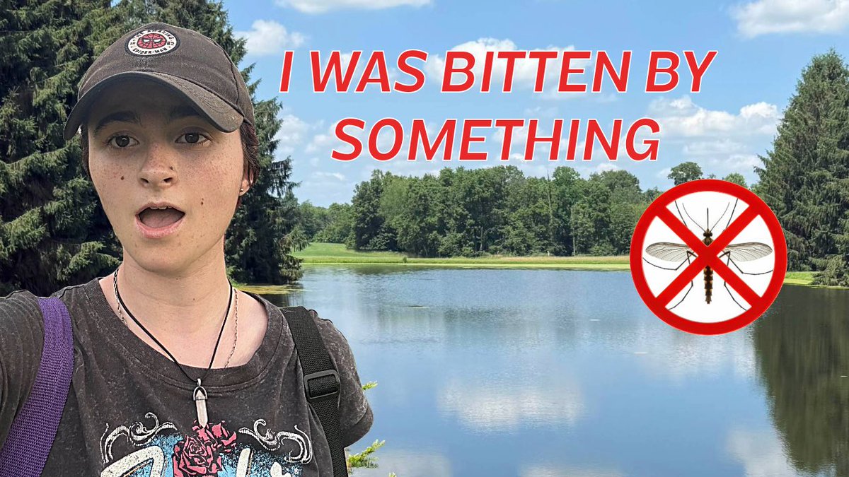 NEW VLOG IS OUT (It’s one of my favorites) youtu.be/sMj7xi1shRE?si…