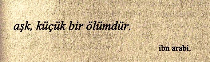 Aşk zehirli bir sarmaşıktır. Dolanan ölür dolanmayan zaten eksik…