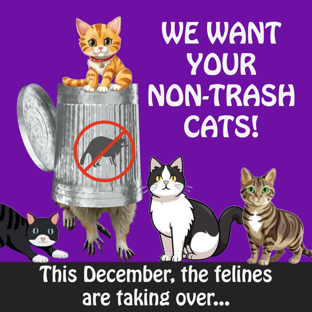 TrashCatLit's tweet image. Upcoming 2025 sub calls 🦝
August - Prompted Stories Pop-Up - Flash 500
trashcatlit.com/prompted-story…
November - Winter General - Theme: WINTER - Flash 100-750 and Shorts to 2000
trashcatlit.com/winter-mood/
December - Winter Pop-Up - Theme: CATS
Flash 100-1000
trashcatlit.com/call-for-cat-s…