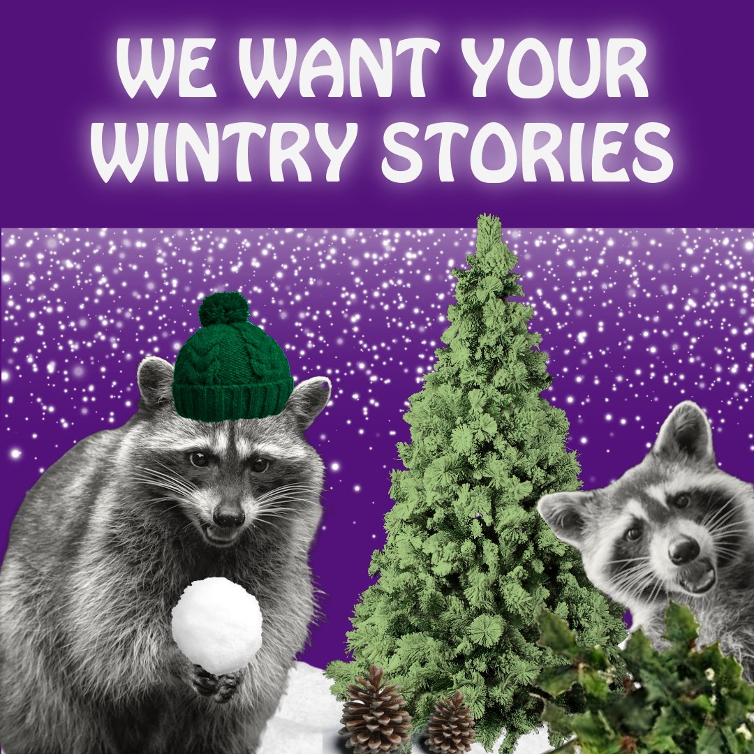 TrashCatLit's tweet image. Upcoming 2025 sub calls 🦝
August - Prompted Stories Pop-Up - Flash 500
trashcatlit.com/prompted-story…
November - Winter General - Theme: WINTER - Flash 100-750 and Shorts to 2000
trashcatlit.com/winter-mood/
December - Winter Pop-Up - Theme: CATS
Flash 100-1000
trashcatlit.com/call-for-cat-s…