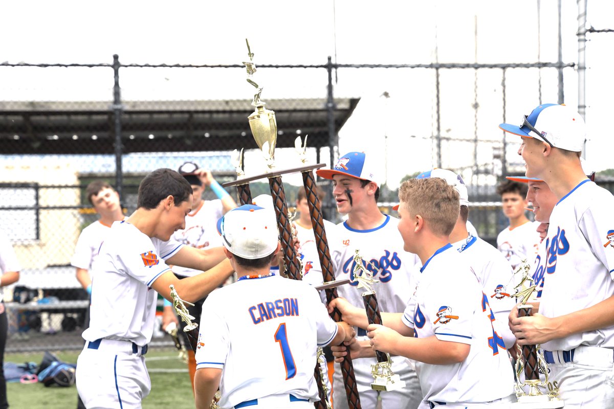 Ohio Hit Dogs Black tweet media