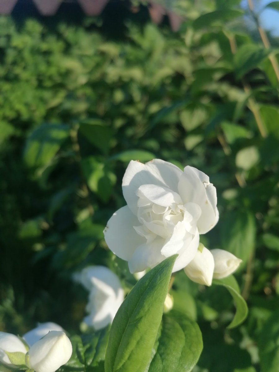 Добрый вечер всем🌿🤗
