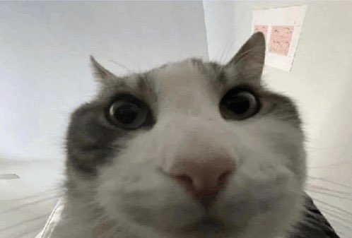 NohnVonJeumann's tweet image. >guy at work says AI couldn’t solve simple problem
>ask if he’s using SOTA or 4o
>he doesn’t understand
>explain the difference between models
>he laughs and says “it’s good AI dude”
>shows me
>it’s 4o
why does this keep happening