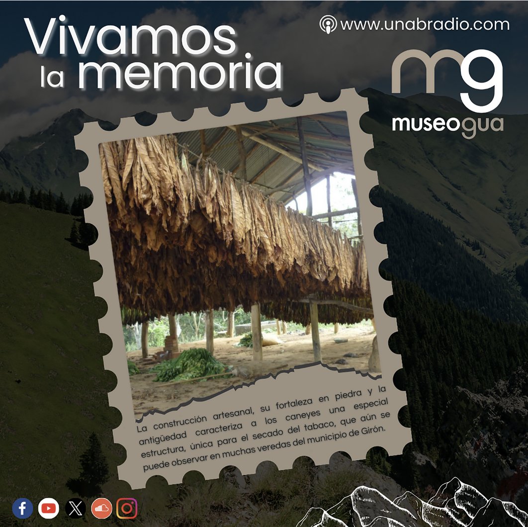 La construcción artesanal, su fortaleza en piedra y la antigüedad caracteriza a los caneyes una especial estructura, única para el secado del tabaco, que aún se puede observar en muchas veredas del municipio de Girón.

Escúchalo en unabradio.com 📻