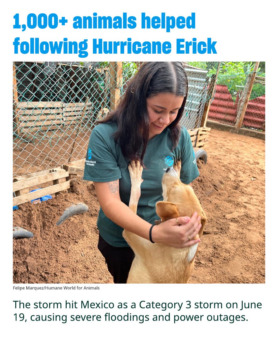 Humane World for Animals has deployed a disaster response team to help animals and their communities in Oaxaca, Mexico that were impacted by Hurricane Erick, which hit the southern Mexican state as a powerful Category 3 storm on June 19, causing severe floodings and power