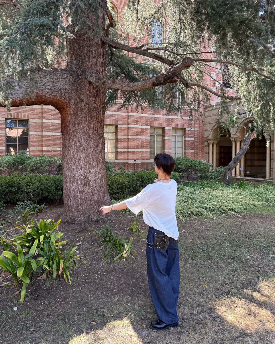 nssignbrasil's tweet photo. [#ROBIN] É uma árvore, uma árvore! 🌳🌳

#엔싸인 #nSSign #ROBIN https://t.co/JZCWcshRrS