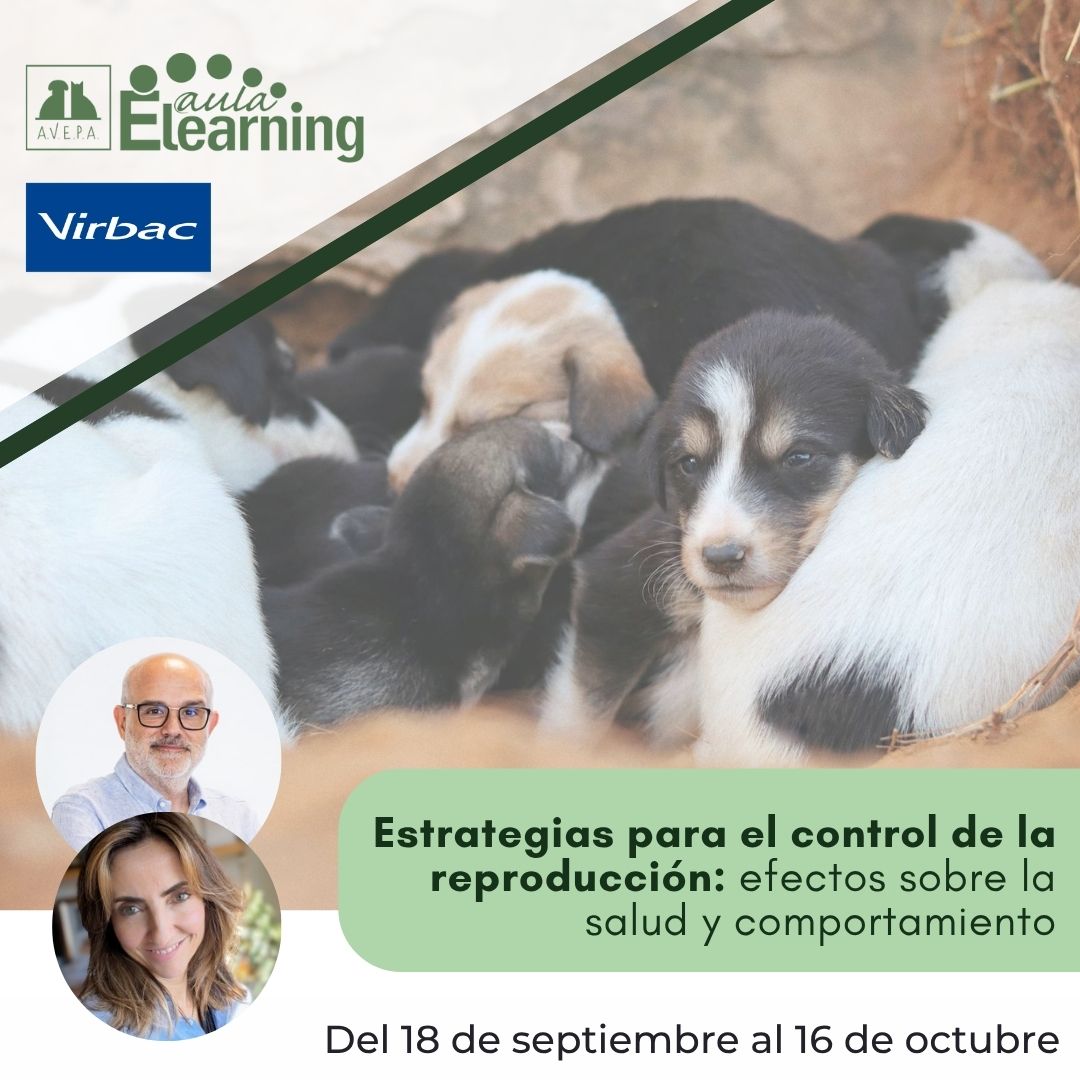 ¿Castrar o no castrar? ¿Y cuándo, cómo y por qué? Xiomara Lucas y Jaume Fatjó te lo explican en el #cursoonline de "Estrategias para el control de la reproducción"
Decisiones con ciencia y empatía.
 +info en formacion.avepaelearning.com/course/info.ph…
#ReproducciónVeterinaria #FormaciónVeterinaria