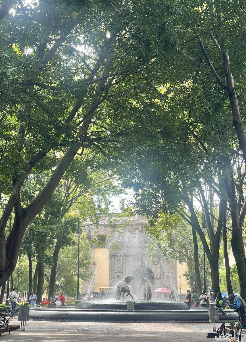 dxlantxch's tweet image. mexico city shot on iphone