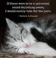LilyLuWhoT's tweet photo. #Purrs4Peace PurrpurrPurrpurrPurrpurrPurrpurrPurrpurrPurrpurrPurrpurrPurrpurrPurrpurrPurrpurrPurrpurrPurrpurrPurrpurrPurrpurrPurrpurrPurrpurrPurrpurrPurrpurrPurrpurrPurrpurrPurrpurrPurrpurrPurrpurrPurrpurrPurrpurrPurrpurrPurrpurrPurrpurrPurrpurrPurrpurrPurrpurrPurrpurrPurrpurrr https://t.co/9S699JhNPn