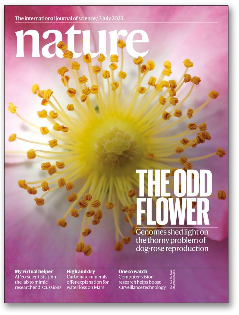 CiroAlemao's tweet photo. Feliz com nosso paper na capa da revista Nature na edição dessa semana!
https://t.co/CZ80Amjx68 https://t.co/dPC9etl1a7