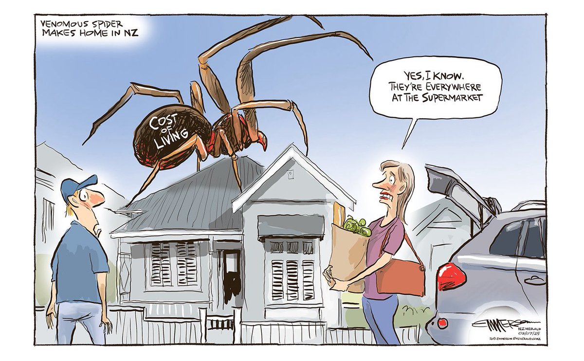 In today’s NZ Herald #costofliving #spiders