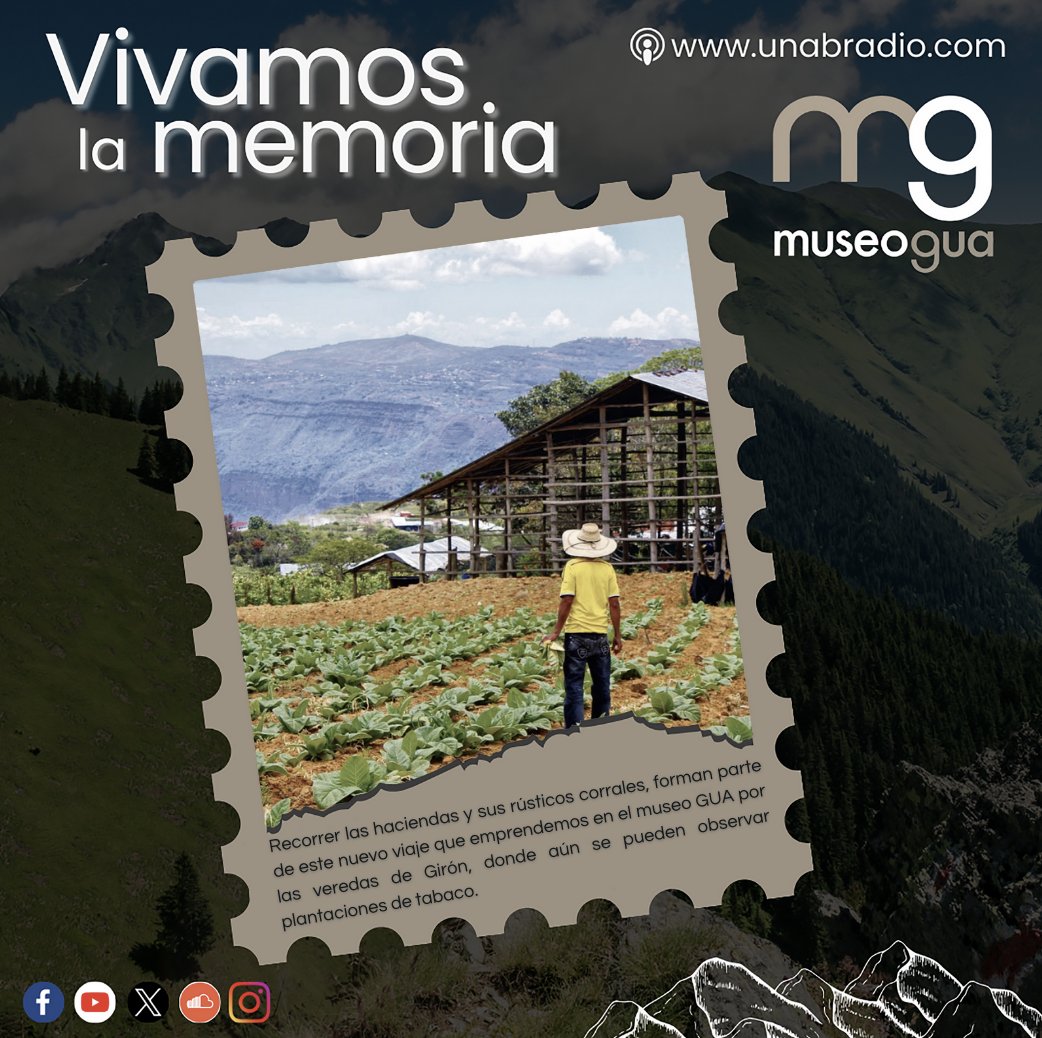Recorrer las haciendas y sus rústicos corrales, forman parte de este nuevo viaje que emprendemos en el museo GUA por las veredas de Girón, donde aún se pueden observar plantaciones de tabaco.

Conoce más en #VivamosLaMemoria. 
Escúchalo en unabradio.com 📻