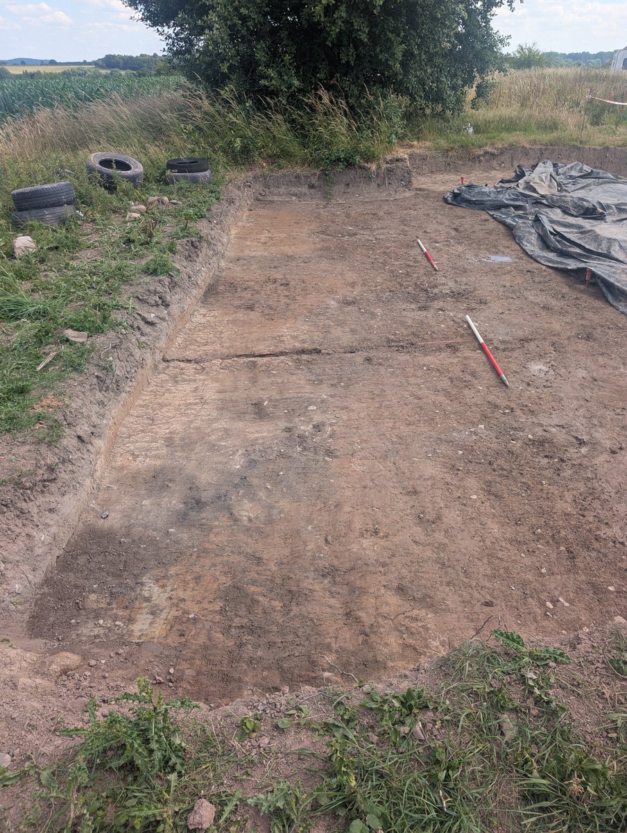 The Poulton Project tweet media