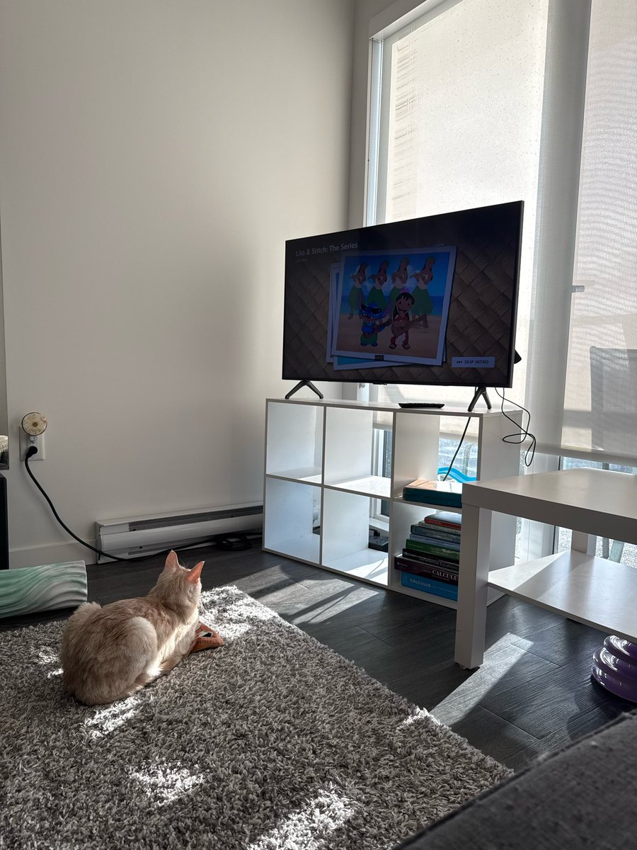 he likes watching tv