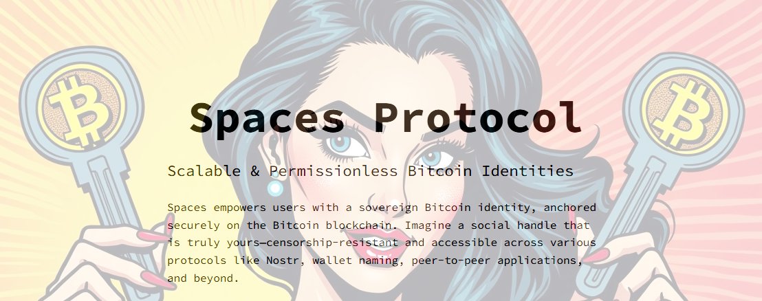 xcuriousbitcoin's tweet image. With only ~3,600 Primary Spaces released each year. Top level Bitcoin Spaces are extremely rare.
If you’re not holding the keys to your identity, someone else is.
Secure yours before they’re gone. @spacesprotocol
#BitcoinIdentity #SpacesProtocol #Bitcoin #SecureYourKeys