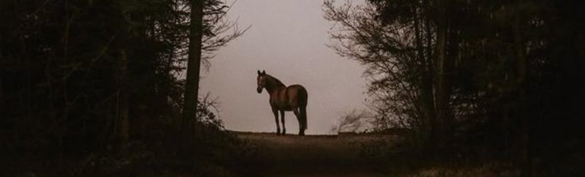 “ikna edilmişlerle yola çıkılmaz.
yola inanmışlarla çıkılır.”
