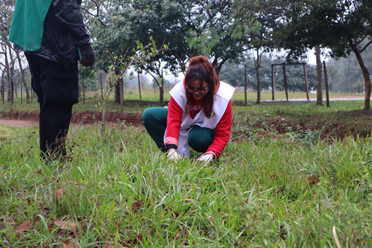 🌱 En Caazapá, sembramos futuro con DHL, CEPAG y la comunidad.
700 árboles plantados en escuelas, fincas y espacios públicos.
Gracias a todos los que hicieron posible esta jornada 🙌
👉 Más info: fundacionjesuitas.org.py/voluntariado-c…

#ManosQueSiembranFuturo #FundaciónJesuitas #Voluntariado
