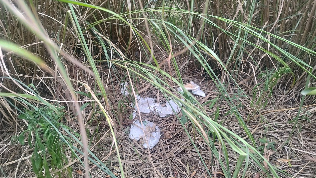 ACapraDiMonti's tweet photo. Chauds chauds les marrons ! 😂😂😂🤣🌡️🥵 #Écologistes🌻 #BORDEAUX 🌻 #Microforêts🌻 #MicroDéchèteries🌻 https://t.co/xfU4APY6pf