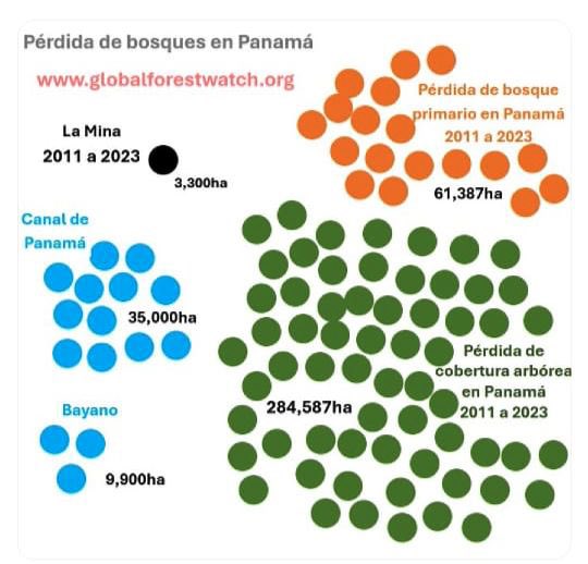 ππ₯ππ«πππ¨ ππ¨πππ Ω β  π΅π¦ π΅πΉ (@amottapty) on Twitter photo Datos de deforestaciΓ³n en PanamΓ‘ π΅π¦.
284,587ha
PΓ©rdida de cobertura arbΓ³rea 2011-2023
61,387ha
PΓ©rdida de bosque primario 2011-2023
35,000ha
Canal de PanamΓ‘
9,900ha
Bayano
3,300ha
Mina
Fuente: globalforestwatch.org
#TodosSomosUno Datos de deforestaciΓ³n en PanamΓ‘ π΅π¦.
284,587ha
PΓ©rdida de cobertura arbΓ³rea 2011-2023
61,387ha
PΓ©rdida de bosque primario 2011-2023
35,000ha
Canal de PanamΓ‘
9,900ha
Bayano
3,300ha
Mina
Fuente: globalforestwatch.org
#TodosSomosUno