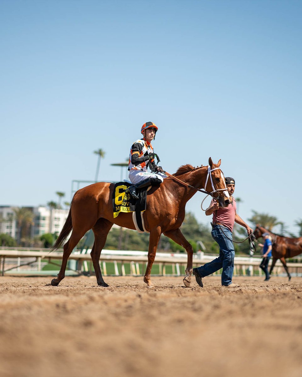 Watch &amp; wager on races nationwide — FREE parking &amp; admission! 🎉
⏰ Gates open at 10 AM
🍽️ Paddock Room, Sirona’s Bar &amp; FrontRunner open Fri–Sun
🌮 Don’t miss Chips &amp; Dip, Fish Tacos &amp; Quesadillas
✨ Night Racing Fri–Sun (when available)