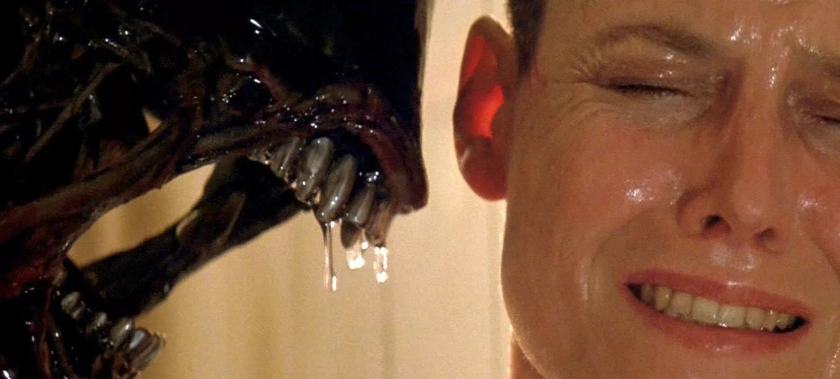 Чисто я и мой кот