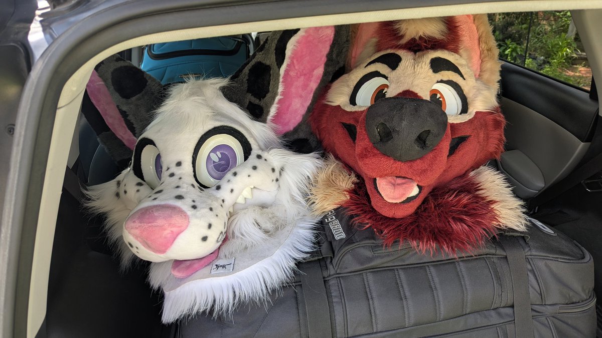 Anthrocon, here we come!! If you see us, please come say hi, take pics, and give hugs!!
With my love <a href="/RyanTheMalamute/">Ryan Hatfield</a>