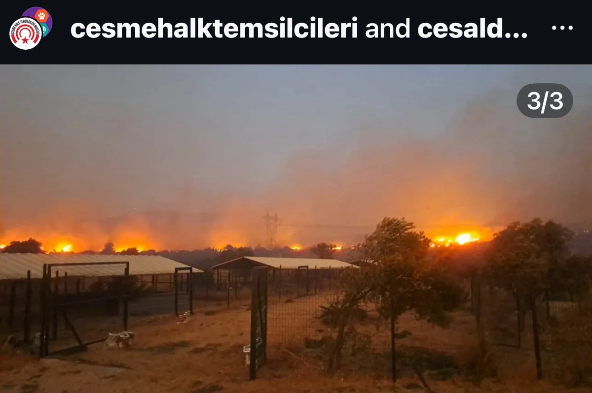 ACİL DAYANIŞMA ÇAĞRISI!

Çeşme’de engelli, yaşlı ve bakıma muhtaç hayvanların barındığı <a href="/CesalDernegi/">ÇESAL</a> Barınağı yangın yüzünden tehlike altında! 

Barınak tahliye ediliyor. Çevrede yardımcı olabileceklere iletin lütfen!  <a href="/CesmeThtm/">THTM ÇEŞME MECLİSİ</a> <a href="/cesmebld/">Çeşme Belediyesi</a>