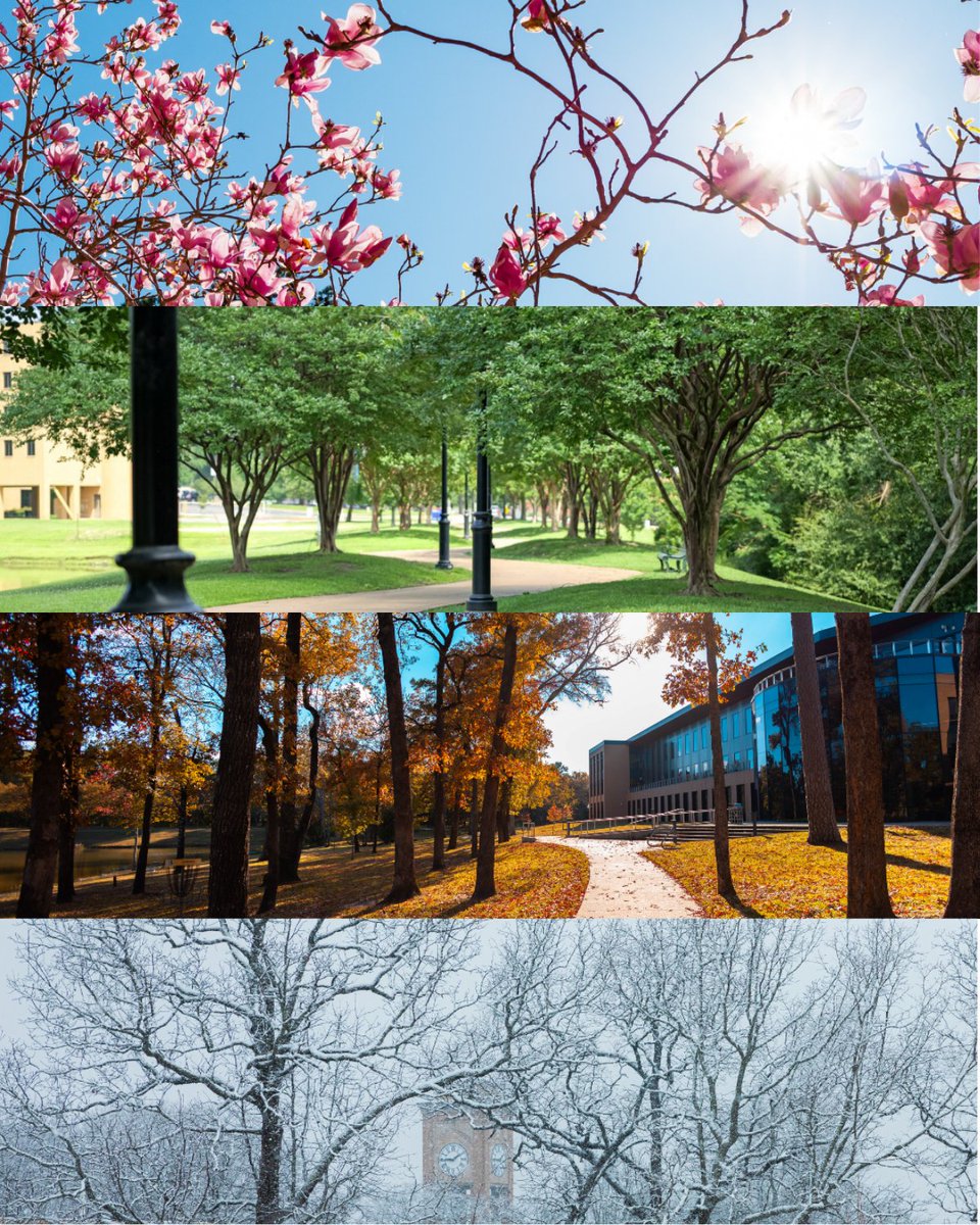 As the seasons change, so do you, Patriots. 🌸☀️🍂❄️

Here’s to another year of growth, discovery, and unforgettable moments at UT Tyler. We can’t wait to welcome you back this fall! #UTTyler #TalonsUp #SeasonsOfUTTyler