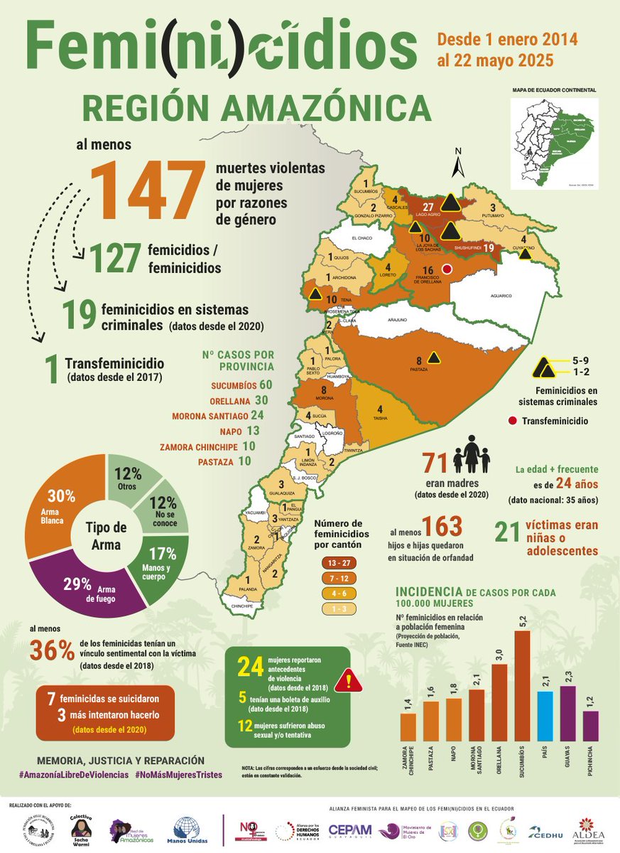 Nos siguen matando. El nuevo mapa de #feminicidio de la región amazónica presenta una realidad invisibilizada: la #Amazonía es la región con la más alta incidencia de femicidios.

Exigimos respuesta estatal urgente.

#AmazoníaLibreDeViolencia
#LasCasasDeAcogidaNosSalvan.