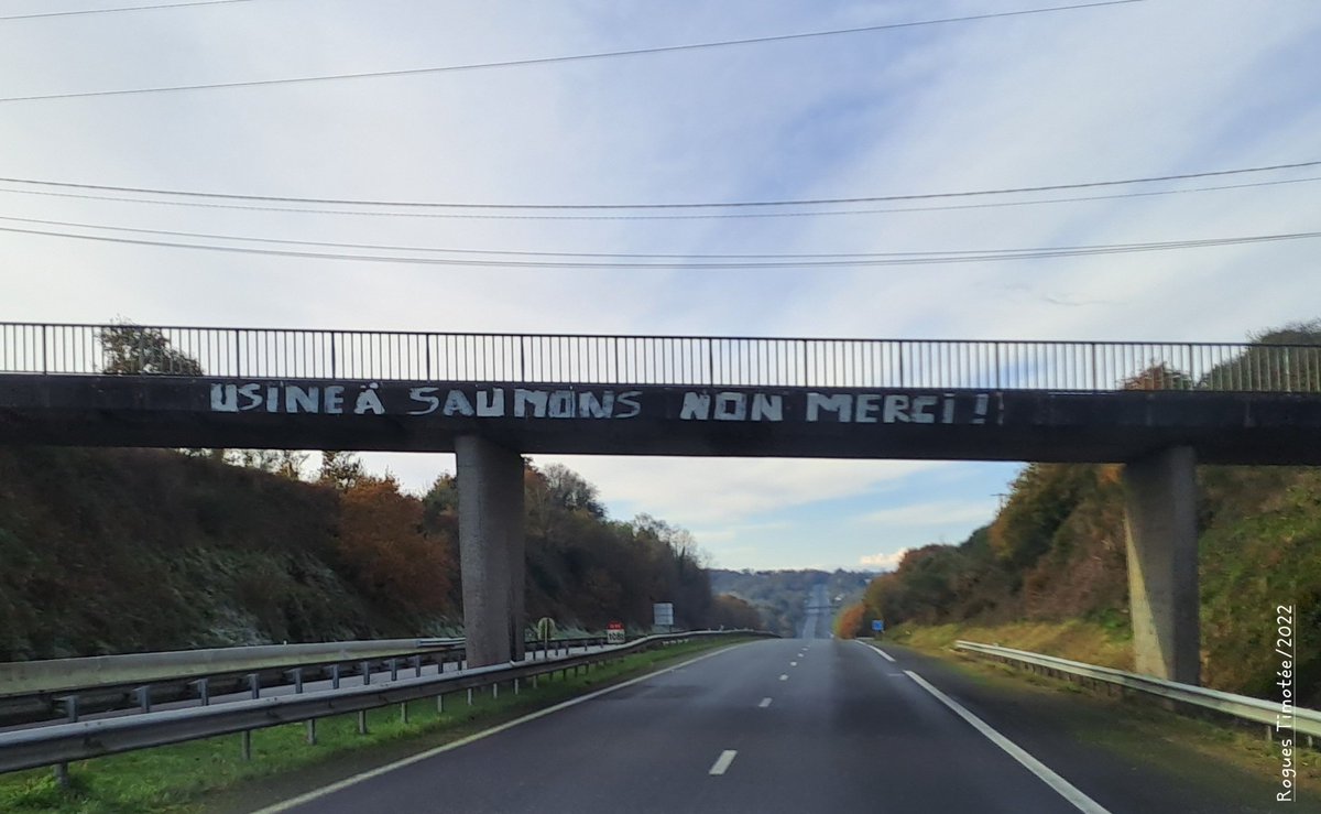 Dilaosket penn-da-benn raktres usin-eog Plouisi en Aodoù an Arvor goude bloavezioù stourm. Fellout a rae d'an embregerezh Smart Salmon staliañ un usin evit disevel eog war ar-maez e Plouisi. Ne vo ket eus an usin-se a drugarez d'ar stourm.
Poltred tapet en Aodoù an Arvor e 2022.