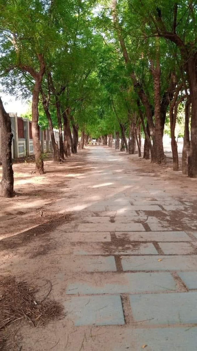 DanBorno's tweet photo. To all that are Made in @uni_maid https://t.co/Unod0VmpqJ