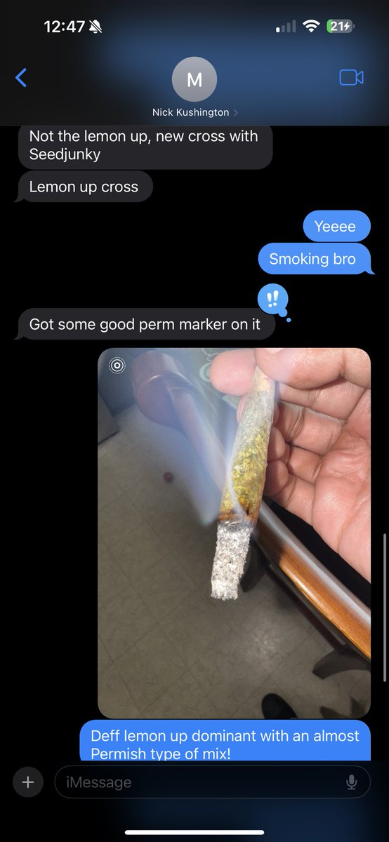 Cityexclusives1's tweet photo. New tester straight from the source via glove 🧤This bouta make some major 🌊’s  @kushington415 x @JBeezySJG new lemon 🍋 🆙 cross is insane. Imagine lemon up wit permanent marker in the mix especially on the back end. Had me stoned & the taste translated thru the whole joint 🔥🔥
Really excited to help bring this collab into the game. When I say @kushington415 been cooking in the lab I really mean that! 
Coming soon stay tuned..