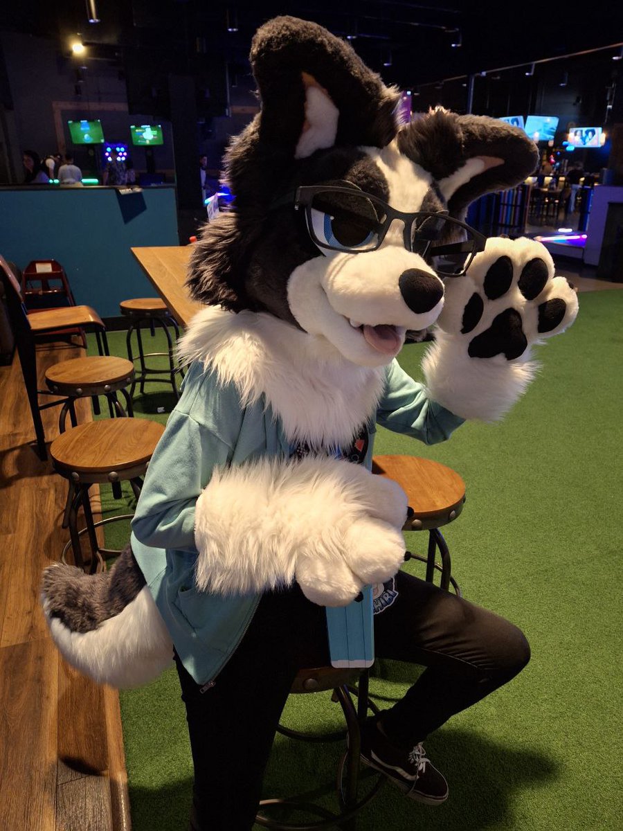 ChibiCollie's tweet image. Finally got some pics that show off each piece of my wonderful partial from @Aceyboos ! I love my head, hand paws and tail so much!! They're beautifully crafted, get so many compliments and bring me so much joy &gt;w&lt;
And I have more to show off soon...! 💙
📸 awoozy @ bsky