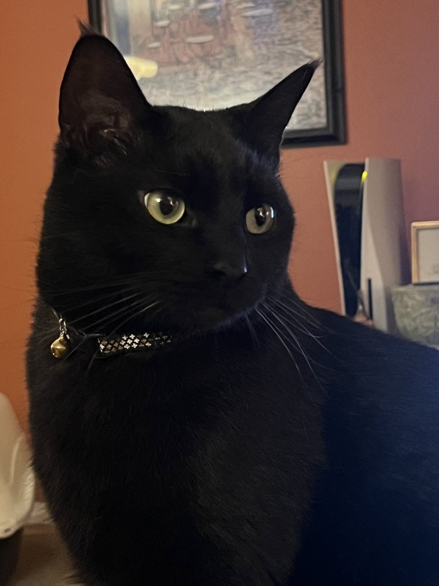 Gina Baxter tweet media