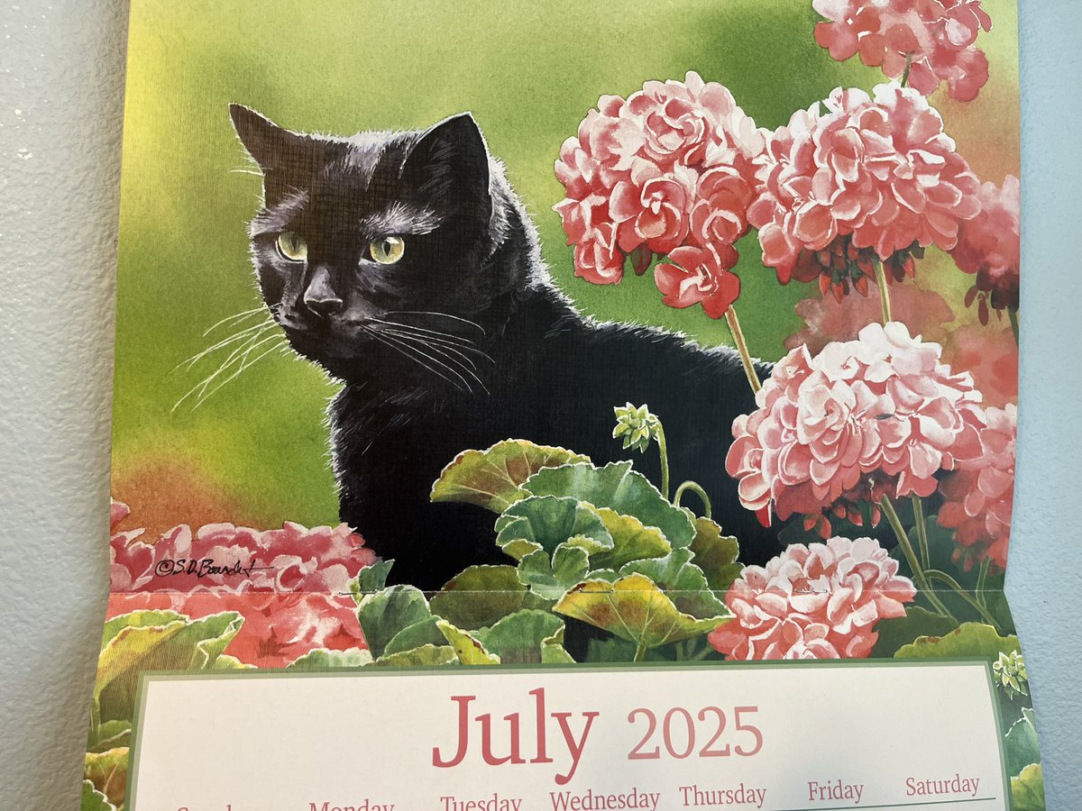 Gina Baxter tweet media