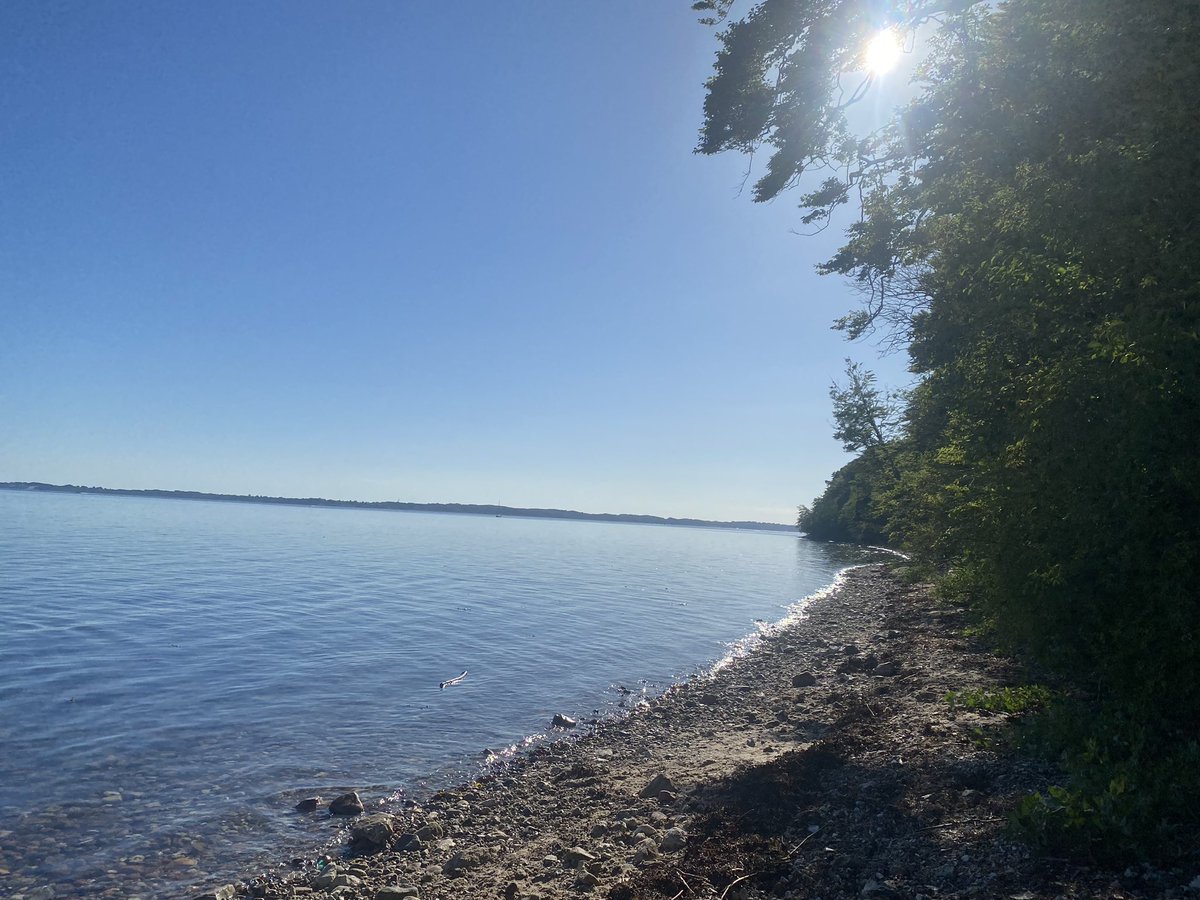 DanishNut's tweet photo. First swim of the year with family and probably first time for me on a danish beach in 10 years🤣🏝️⛱️🇩🇰
Yes we went the other way away from people with no sand but it was quiet and our two dogs could run wild🐶🐶🌊🌅
#NutWalks #NutSwims #BeachNut https://t.co/xbhDtAyF5M