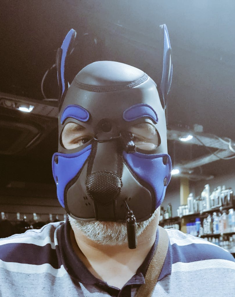 Picked up my new hood yesterday 🐶🐾