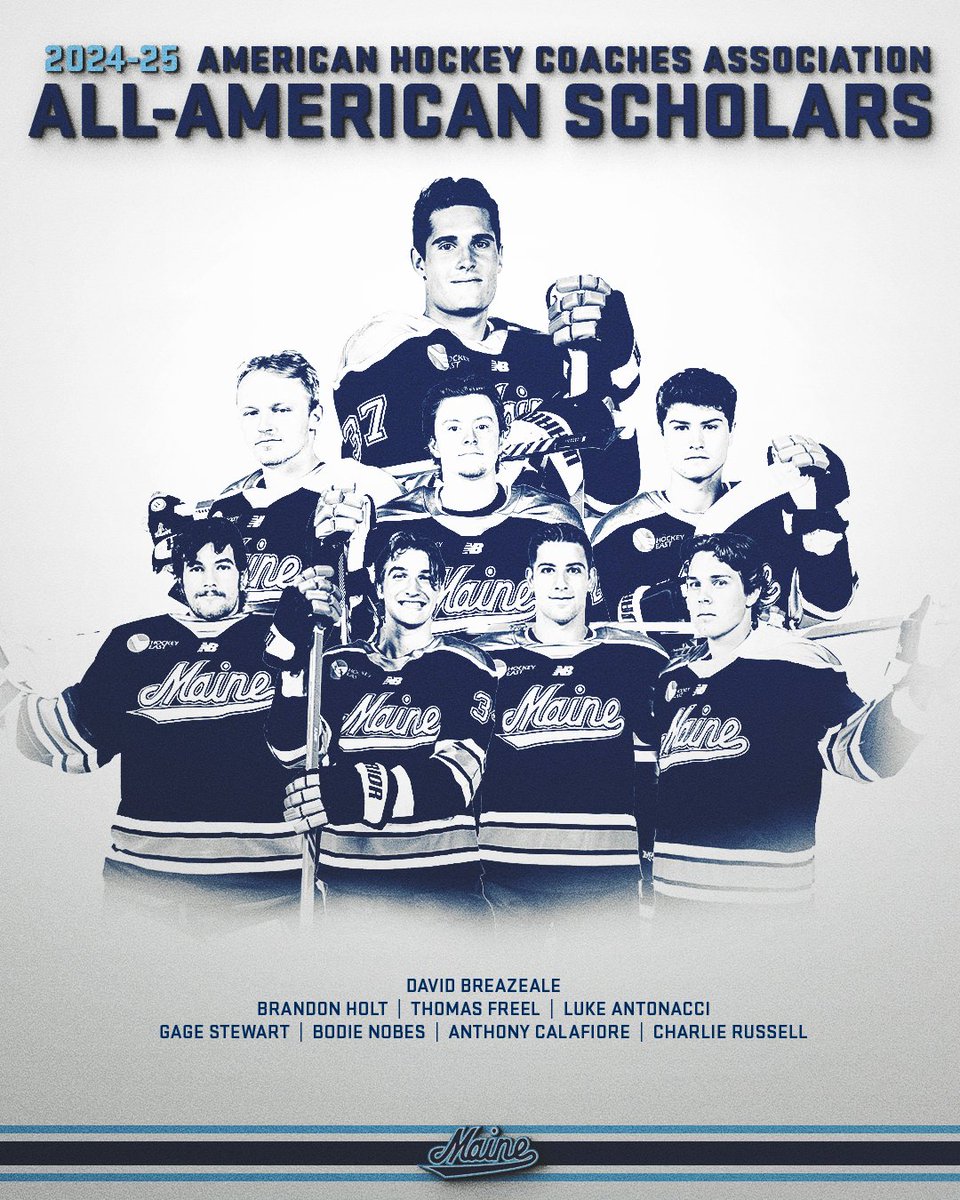 8️⃣ members of our 2024-25 squad have been named AHCA All-American Scholars 📚

📝: tinyurl.com/2bmg7ajq