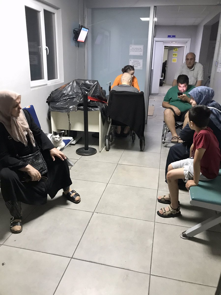 _aliserbest_'s tweet photo. @ZelenaDzamija Size bir Tr manzarası sunayım mı anlık !Burası Bakırköy Mazhar Osman Eğitim ve araştırma hastanesi. Kedi aşırı pis, hayvanı alıştırmışlar. Gelen hastalar hep enfeksiyona hassas kişiler. Belli ki alıştırmışlar. MR odasında da gördüm. Ve sonraki fotoğraflar.. Afrika da göremezsin https://t.co/QxqRJYd9y9