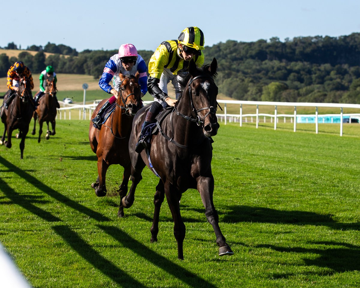 Chepstow Racecourse (@chepstow_racing) on Twitter photo Our second race this evening went to Flying Comet - the mount of <a href="/daviesharry_/">Harry Joe Davies</a> and trained by Simon and Ed Crisford. The 2-y-o was sent off the 8-11f. Our second race this evening went to Flying Comet - the mount of <a href="/daviesharry_/">Harry Joe Davies</a> and trained by Simon and Ed Crisford. The 2-y-o was sent off the 8-11f.