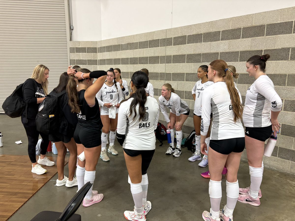 Premier 16 Gold tweet media