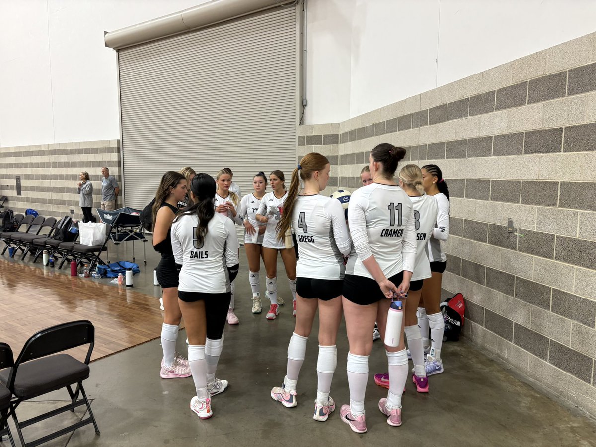 Premier 16 Gold tweet media